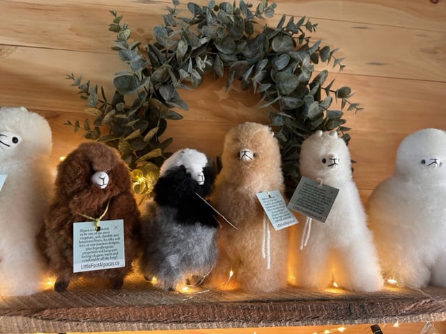 Gift Shop at Little Foot Alpacas