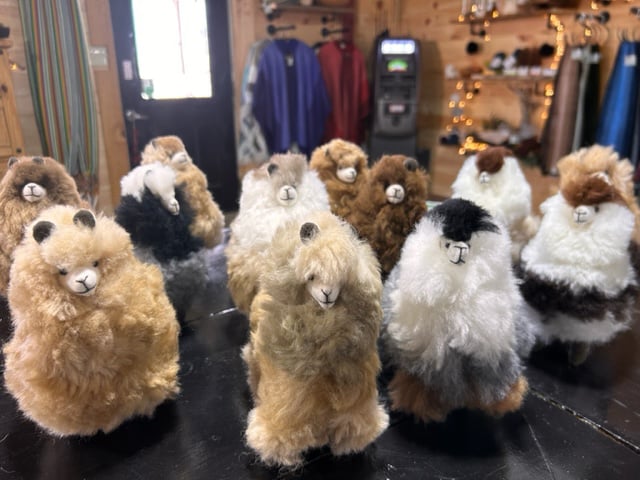 Gift Shop at Little Foot Alpacas
